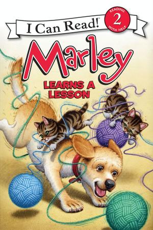Book cover of Marley: Marley Learns a Lesson