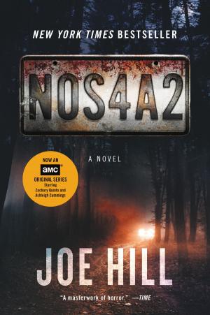 Cover of the book NOS4A2 by Lili Anolik