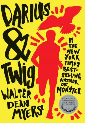 Cover of the book Darius & Twig by Rachel Vassel