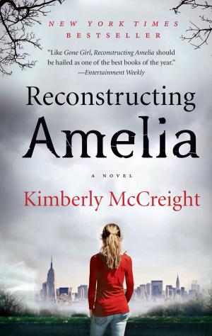 Cover of the book Reconstructing Amelia by D. A. Mishani