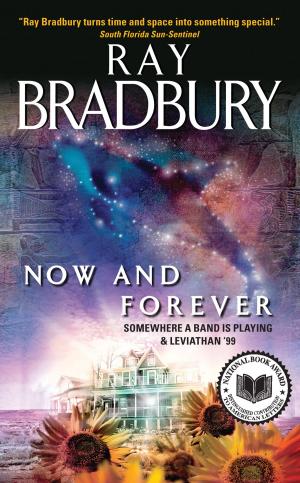 Cover of the book Now and Forever by Beatriz Williams