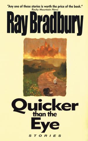 Cover of the book Quicker Than the Eye by Zoe Fishman