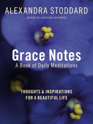 Cover of the book Grace Notes by Bill O'hanlon