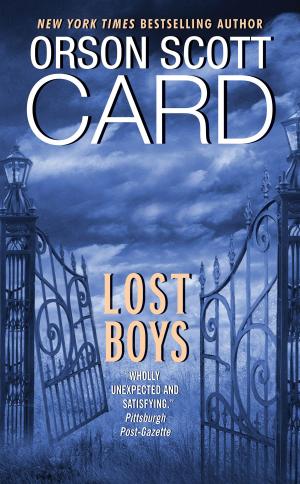 Cover of the book Lost Boys by Rachelle Bergstein