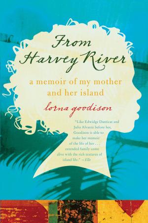 Cover of the book From Harvey River by Sonia Marsh