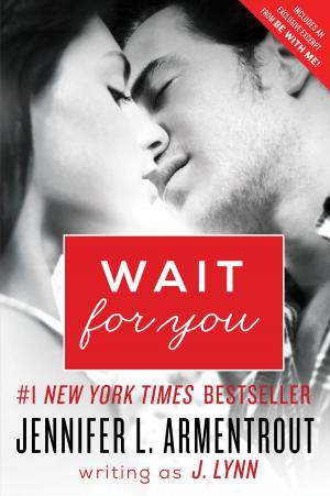 Book cover of Wait for You