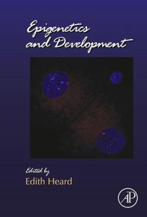 bigCover of the book Epigenetics and Development by 