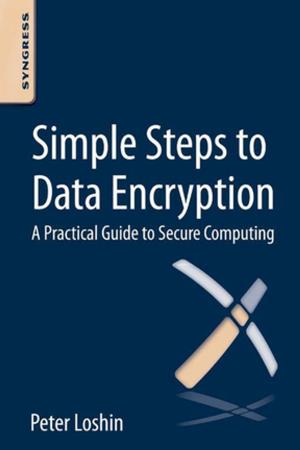 Cover of the book Simple Steps to Data Encryption by Robert M. Young
