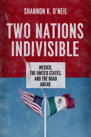 Cover of the book Two Nations Indivisible by Stewart A. Weaver