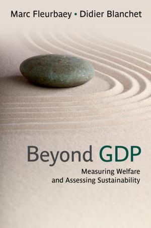 Cover of the book Beyond GDP by Richard M. Grinnell, Jr., Yvonne A. Unrau