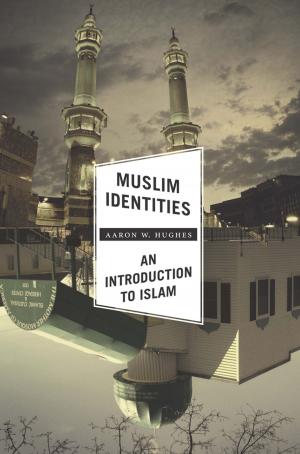 Cover of the book Muslim Identities by Jonathan Rayner
