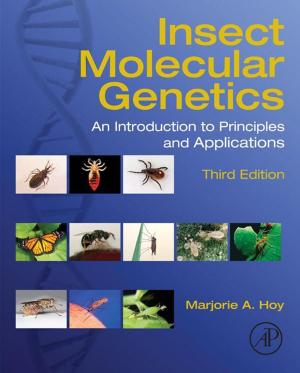 Cover of the book Insect Molecular Genetics by Vadim Ivanovich Serdobolskii