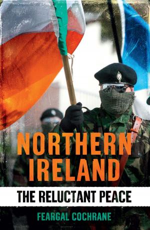 Cover of the book Northern Ireland by Eric J. Sundquist, Mark Crispin Miller