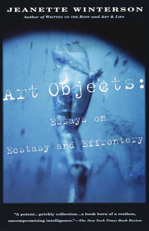 Cover of the book Art Objects by Abi Maxwell