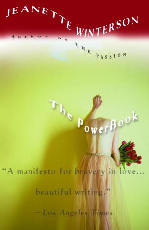 Cover of the book The PowerBook by Ross Macdonald
