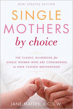 Cover of the book Single Mothers by Choice by Michelle Newbold