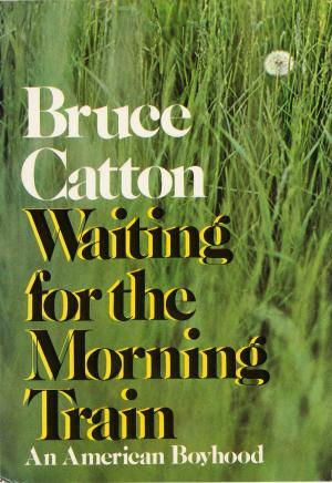 Cover of the book Waiting For The Morning Train by Richard Russo