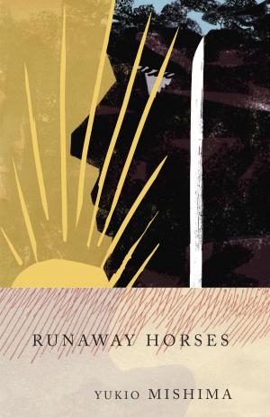 Cover of the book Runaway Horses by DB Jackson