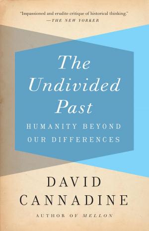 Book cover of The Undivided Past