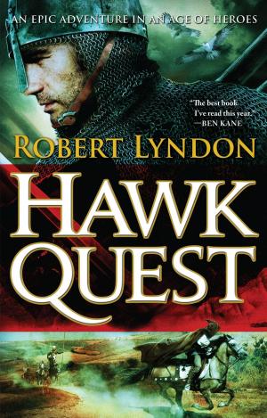 Cover of the book Hawk Quest by K.S. Merbeth