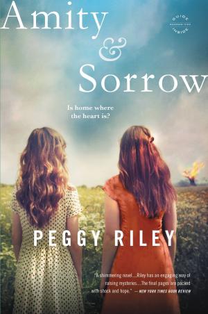 Book cover of Amity &amp; Sorrow