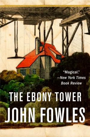 Cover of the book The Ebony Tower by Peter Guralnick
