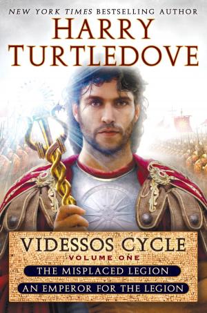Cover of the book Videssos Cycle: Volume One by Sherrie Krantz