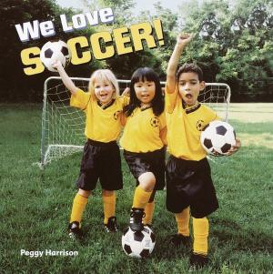 Cover of the book We Love Soccer! by Joyce McDonald