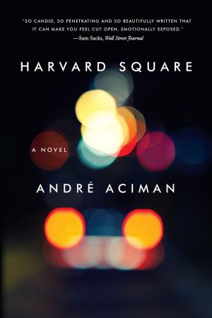 Cover of the book Harvard Square: A Novel by Frances Kiernan