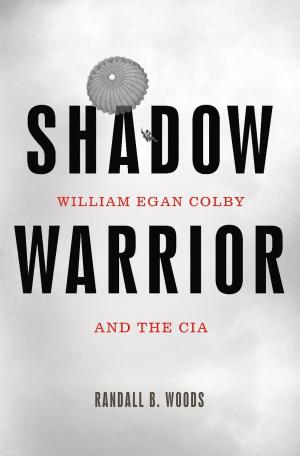 Cover of the book Shadow Warrior by Peter Blair Henry