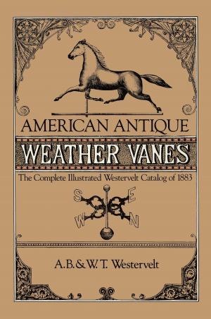 Cover of the book American Antique Weather Vanes by Jasper Salwey, Leonard Squirrell