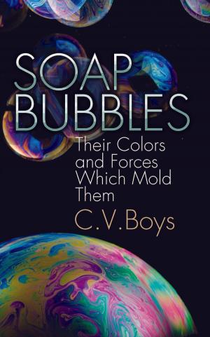 Cover of the book Soap Bubbles by William Gilbert