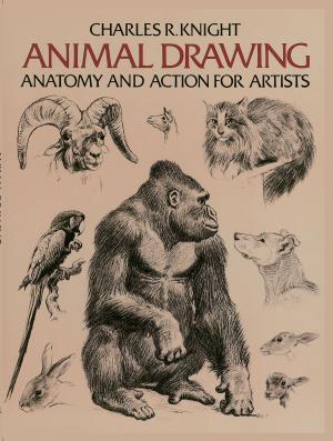 Cover of the book Animal Drawing by 
