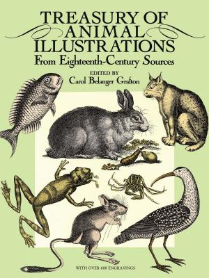 Cover of the book Treasury of Animal Illustrations by Thornton W. Burgess