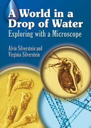 Cover of the book A World in a Drop of Water by Amatzia Avni