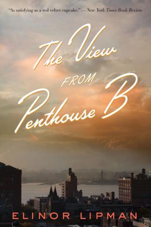 Cover of the book The View from Penthouse B by Hazel Gower