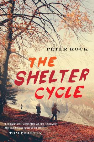 Cover of the book The Shelter Cycle by Nancy E. Shaw