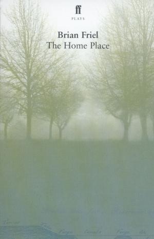 Cover of the book The Home Place by George Ewart Evans