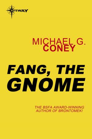 Book cover of Fang, the Gnome