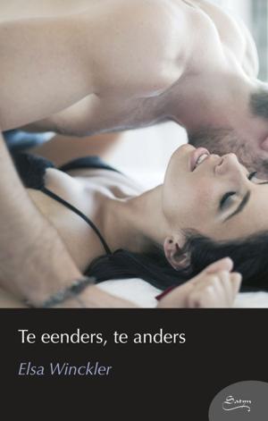 Cover of the book Te eenders, te anders by Lizet Engelbrecht