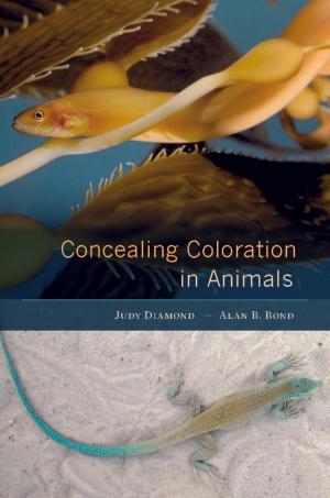 Book cover of Concealing Coloration in Animals