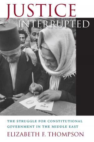 Cover of the book Justice Interrupted by Marwan M. Kraidy