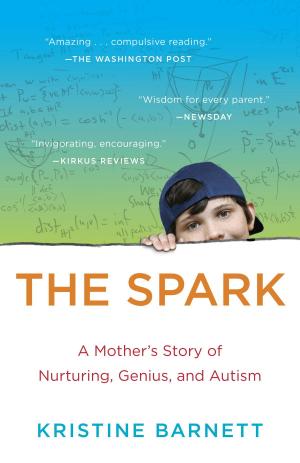 Cover of the book The Spark by GB Tran