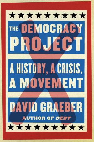 Cover of the book The Democracy Project by Diana Barrios Trevino