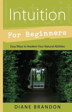 Cover of the book Intuition for Beginners by Philip J. Imbrogno
