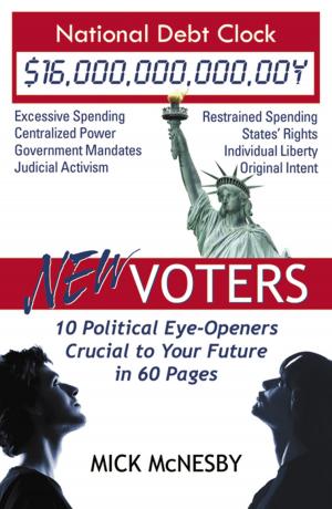 Cover of the book New Voters: 10 Political Eye-Openers Crucial to Your Future in 60 Pages by Harvey Goldstein