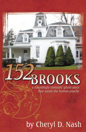 Cover of the book 152 Brooks by David Bocek