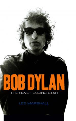 Cover of the book Bob Dylan by John Montague