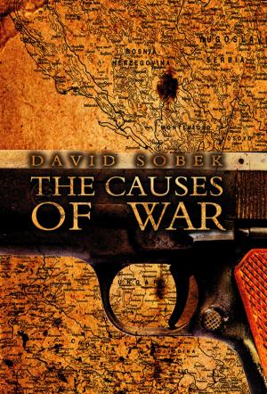 Cover of the book The Causes of War by 