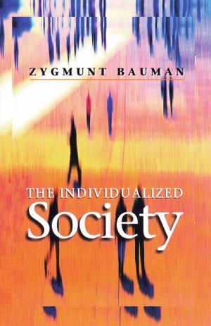 Cover of the book The Individualized Society by Norbert M. Mindel, Sarah E. Sleight